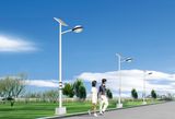 Wbr140 30W Single Lamp Solar LED Street Light