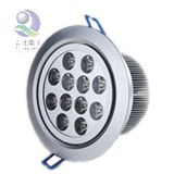 LED Down Light 12X1W