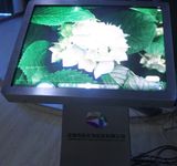 Indoor P1.8 LED Display