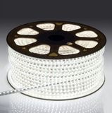 AC 220V LED Strip Light