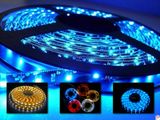 SMD 3528 LED Strip Light (SB1-60W-12/24)