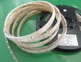 LED Strip Light (OML-DC12V-004-b)