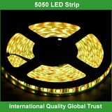 12V Flexible 5050 SMD RGB LED Strips Light