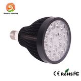 PAR30 LED Spotlight