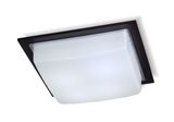 led ceiling down light (S012)