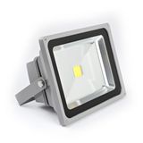 20W Bridgelux LED Flood/Outdoor Light