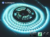 5years Warranty CE RoHS 12V 5050 60LED/M Color-Changing LED Strip Lights/Rope Light