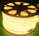 220V/110V LED Strip Light