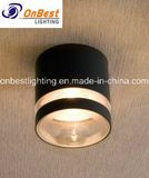 Waterproof Aluminum 4W LED Outdoor Ceiling Light in IP55