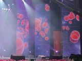 P3.75 Indoor LED Screen Indoor LED Display