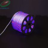 LED Rope Light