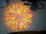 SMD LED Strip Rope Light (FL-3W-24)