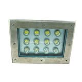 LED Underground Light/LED Outdoor Light (FPS-DMD06-12w)