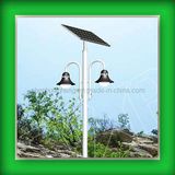 Modern Solar LED Light for Garden (CH-TYN250)