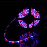 Christmas Decorate Edge Light Flexible LED Rope 3528 LED Strip