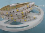 24V LED Strip Light, SMD5050 60LEDs/M, IP20