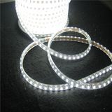 Hot Sale LED 5050 Flex Strip Light 220V