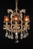 Simple Style Home Decoration Chandelier (10088-6L)