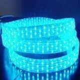 LED Rope Light