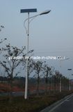 7m LED Street Light for Main Road Application