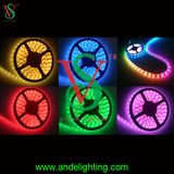 Waterproof High Brightness christmas SMD3528 LED Rope Strip Light