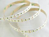 204LEDs Flexible SMD3014 LED Strip Light with CE RoHS