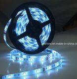 24V LED Strip Light 5050SMD 60LEDs