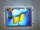 LED Light Box by Thumb Change Photo (MDCLB-A3)