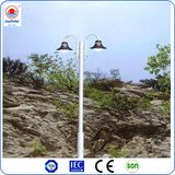 Solar LED Street Light 10W LED Garden Light Made in China