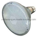 LED Light (ZYPAR38-80D)