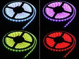 Under Water 2835 60LED/M LED Strip Light (IP68)