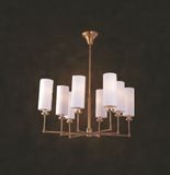 Simple Decorative Chandelier Lamp with CE Certificate (N10010-8)