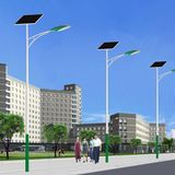 Wbr0061 40W Single Lamp LED Street Solar Light