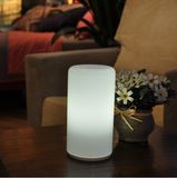 Cylinder Shaped Decorative Desk Lamp for Fancy Restaurant