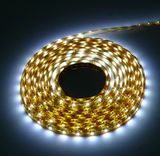 Waterproof SMD 3528 LED Strip Light