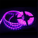 12V 3528 5300k 60LEDs IP33 Black Light UV Strip LED