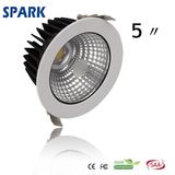 AC100-240V CREE COB 20W LED Ceiling Light