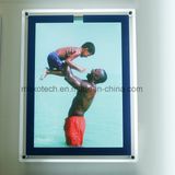 Wall Mounted Portrait Acrylic LED Light Box with Cutout Design