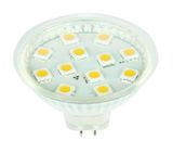 12V MR16 LED Spotlight