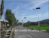 9m 100W LED Solar Street Light