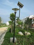 Wbr0086 40W Single Lamp LED Street Solar Light