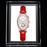 LED Wrist Watch Crystal Light Box