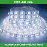 DC12V SMD 5050 Waterproof LED Light Strip