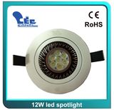 12W LED Spotlight (CN-BP01-PW12-H/CN-BP01-WW12-H)