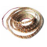 SMD5050 IP65 60 PCS LED/Meter LED Flexible Strip Light