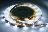 5050 SMD 30LEDs/M Flexible LED Strip Light (JR-F5050-30)