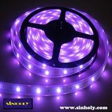 IP65 Waterproof LED Strip Light (3528 60LED/M)