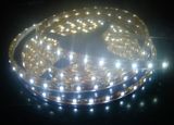 LED Strip Light (MQ-5050W60-NF)