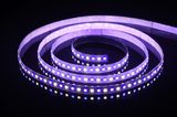 UL High CRI Epistar 5050 RGBW Flexible Strip 6500k LED Light