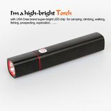 C3 Mini Rechaegeable LED Flashlight with Charge PAL